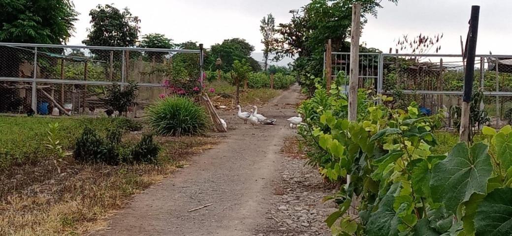 La Vina De Oscar Konuk evi Nuevo Imperial Dış mekan fotoğraf
