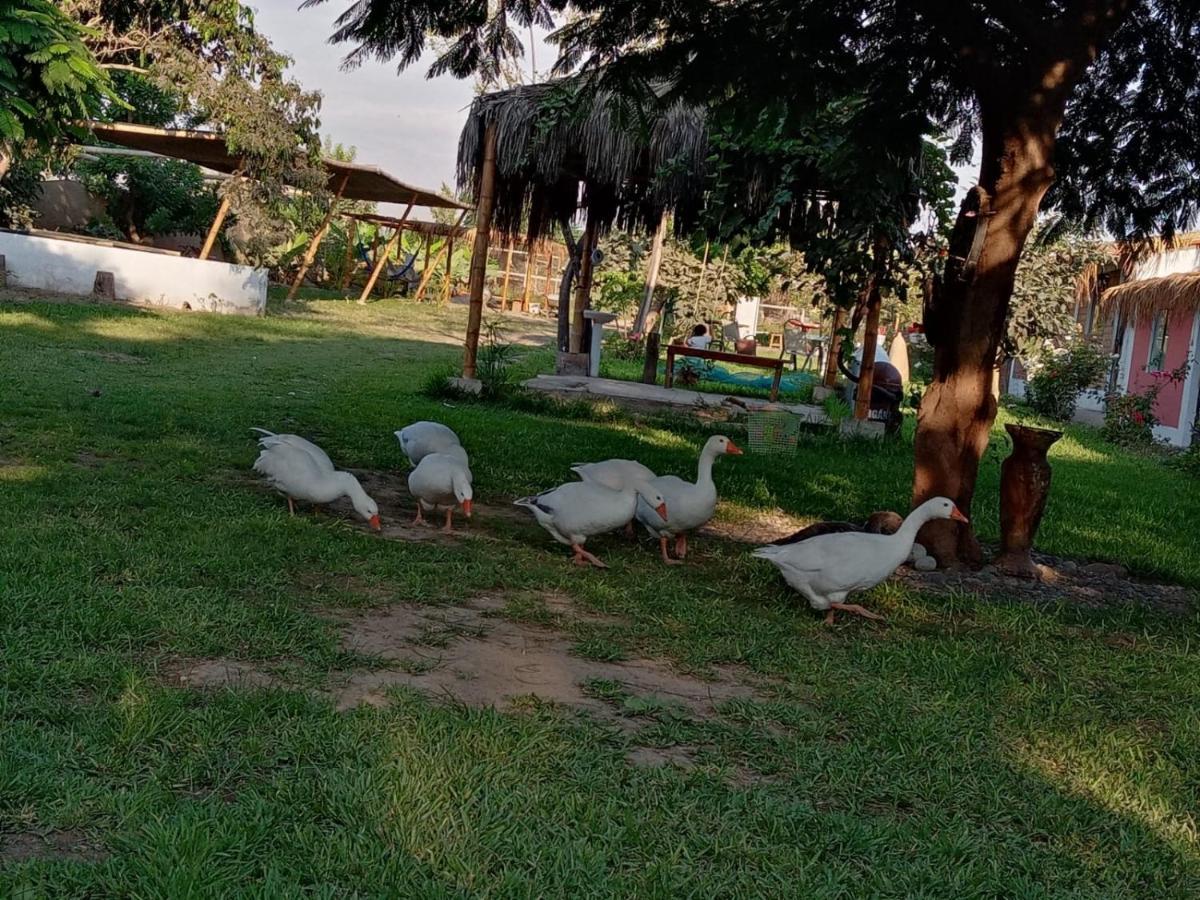 La Vina De Oscar Konuk evi Nuevo Imperial Dış mekan fotoğraf