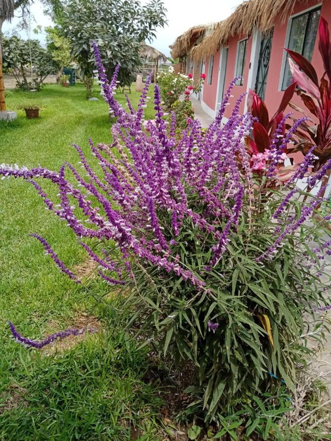 La Vina De Oscar Konuk evi Nuevo Imperial Dış mekan fotoğraf